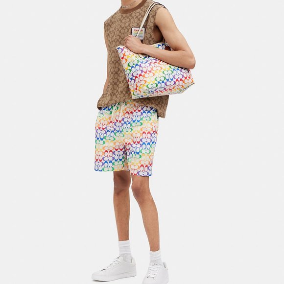 🌈 Coach City Tote In Rainbow Signature Canvas - Picture 4 of 11